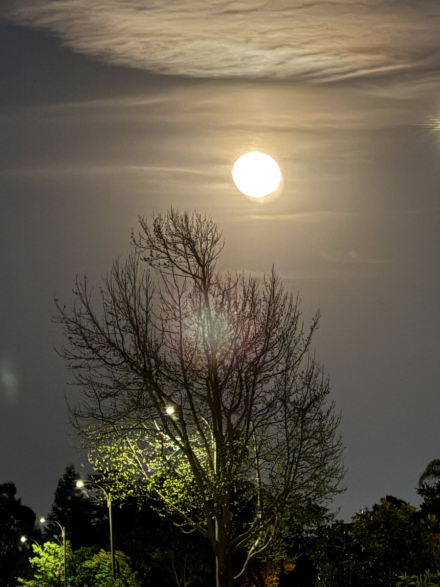 S&M @Eng. tweet media