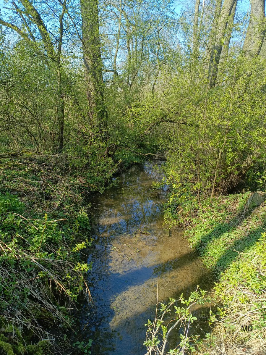 Martina Dvorská tweet media