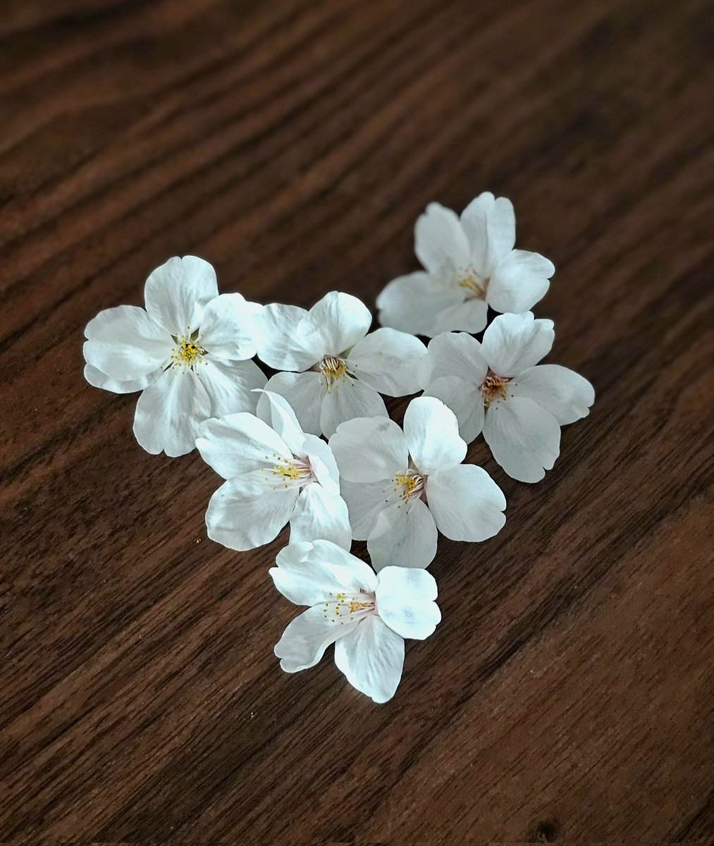 엔젤지민~🎡🌿💌💜 tweet media