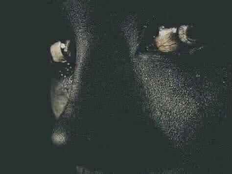 سـیـد حـسن tweet media