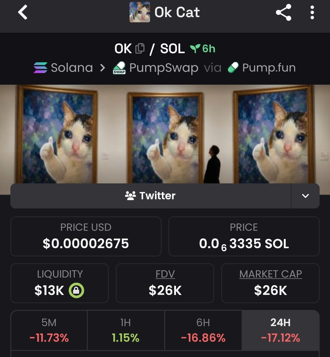 Sol chef tweet media