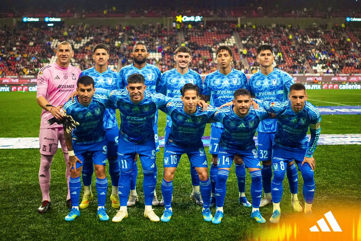 Dinastía Tigre tweet media