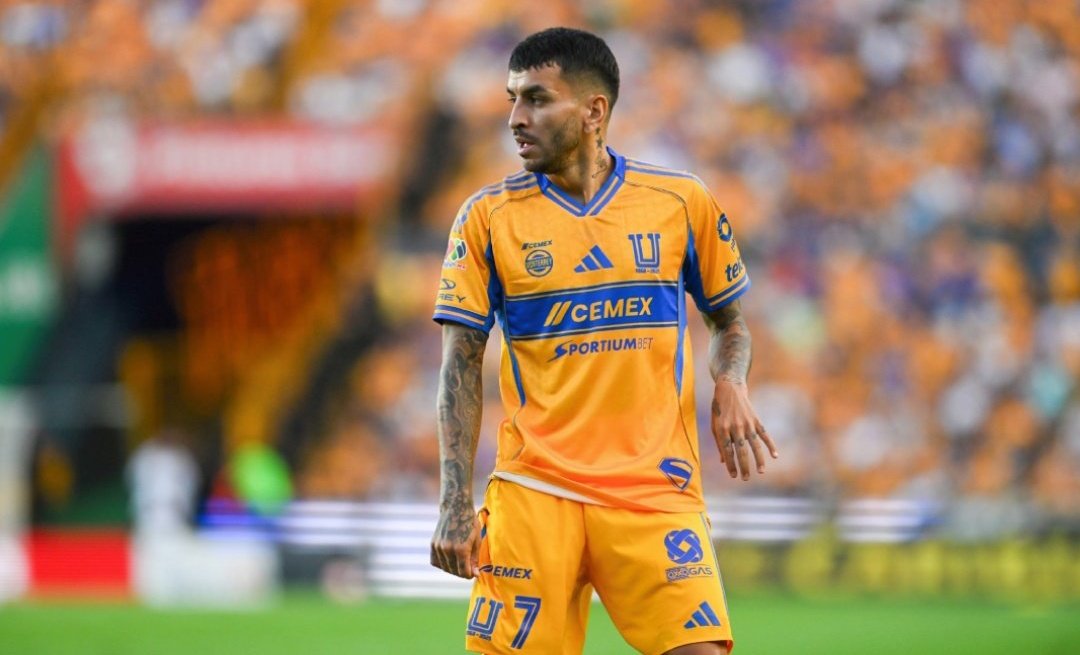 𝕽𝖆𝖞𝖆𝖉𝖔 𝕮𝖍𝖆𝖒𝖕𝖆𝖌𝖓𝖊 tweet media