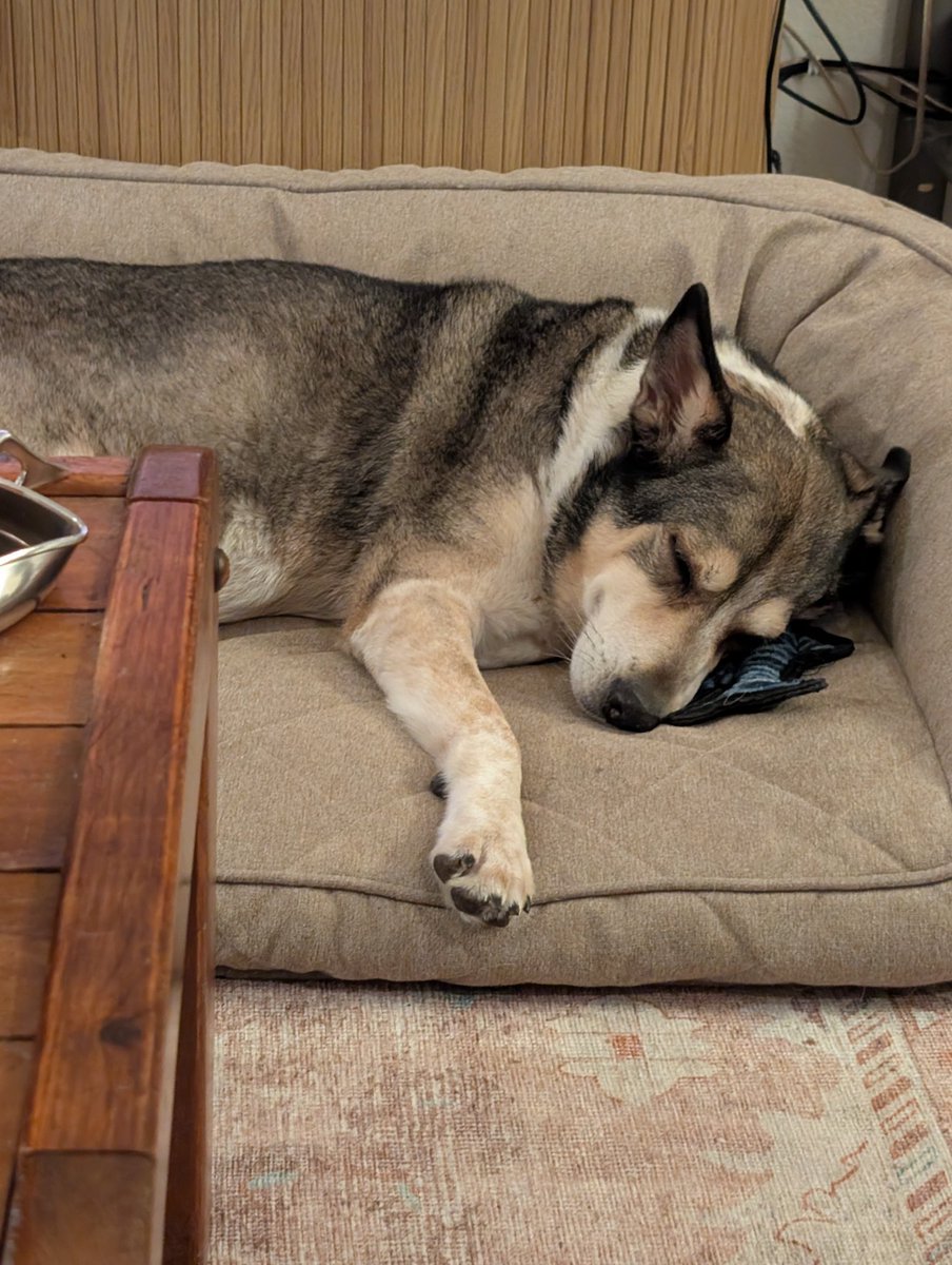 Fail Father of Four tweet media