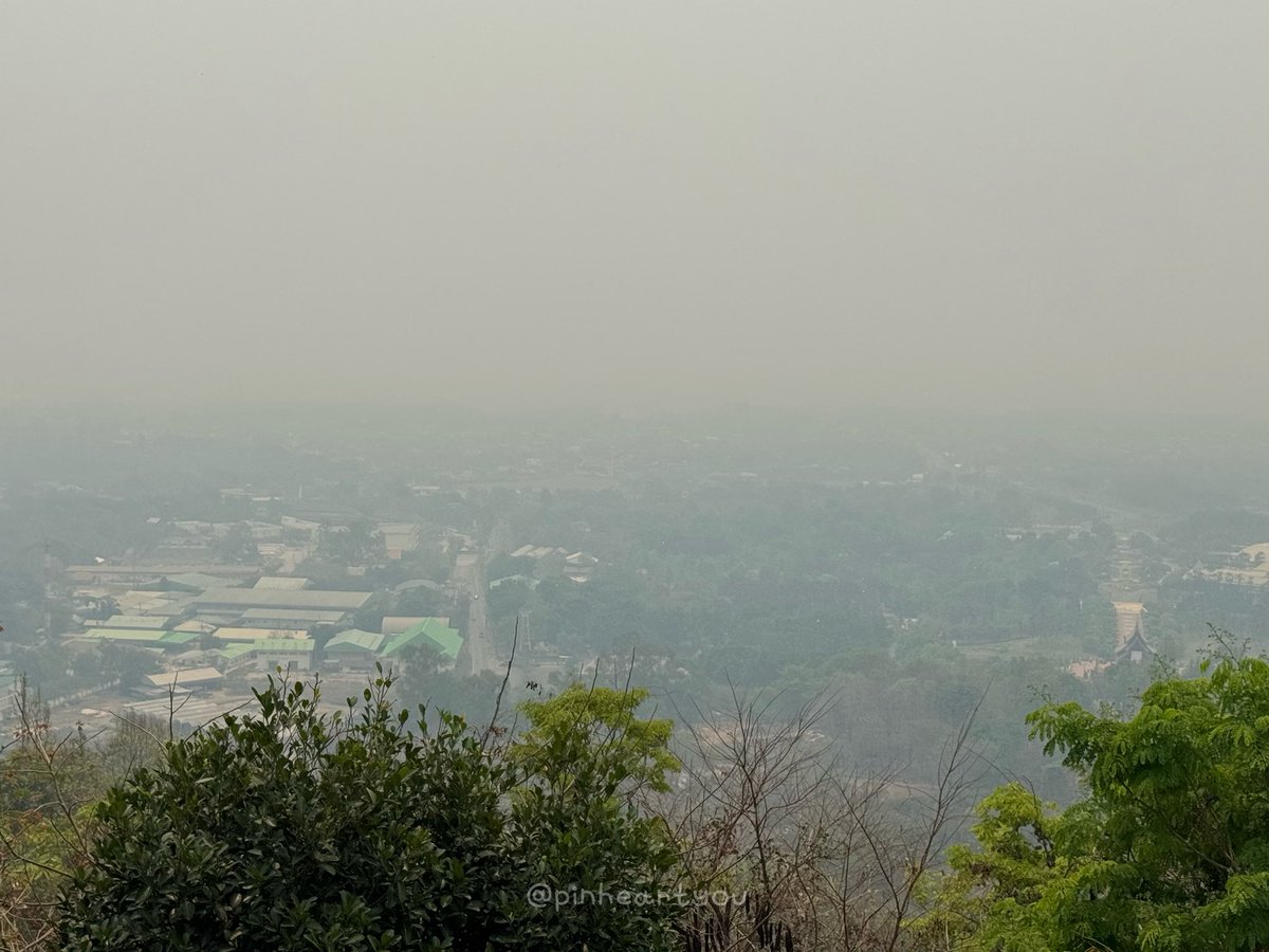 ⊹ᡣ𐭩 berbboo ꕀ tweet media