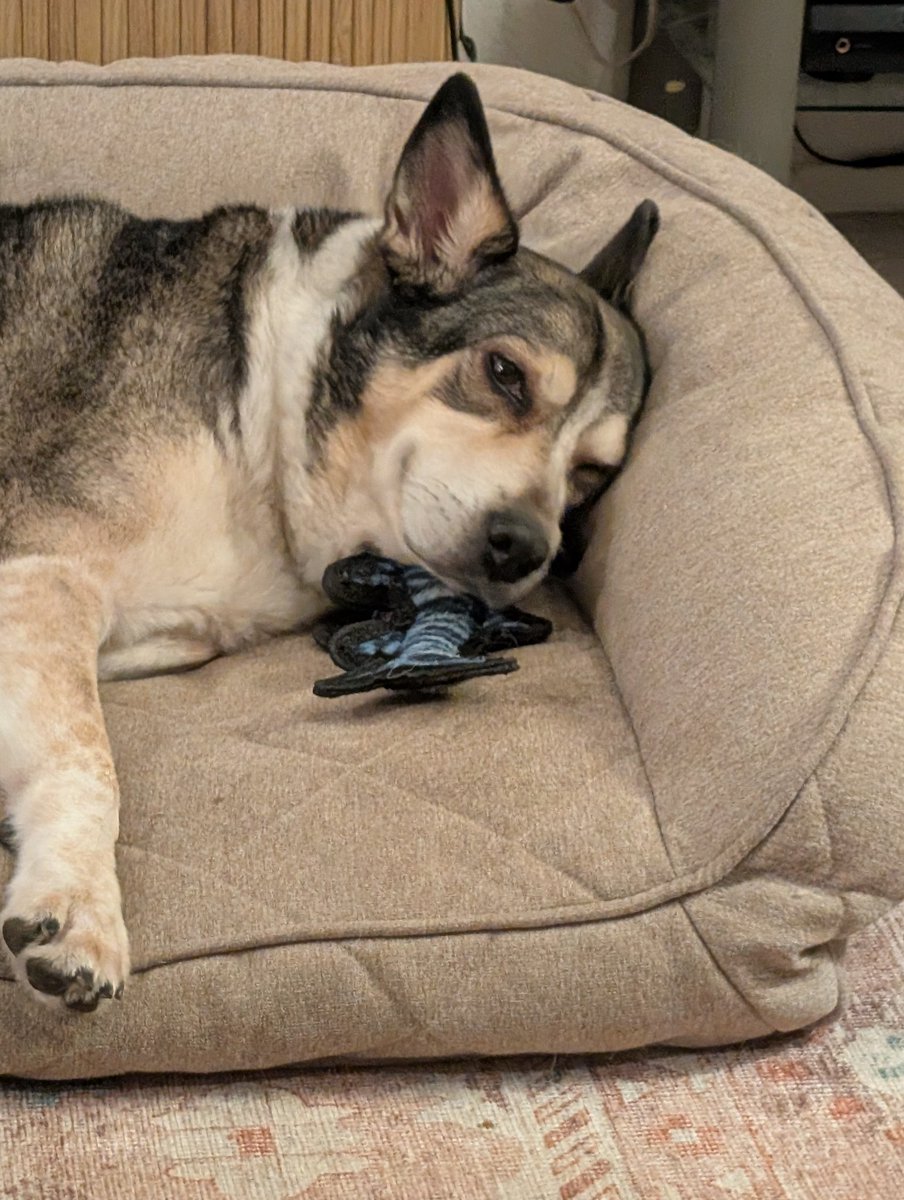 Fail Father of Four tweet media