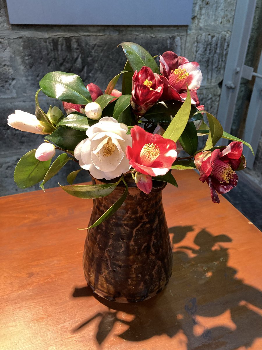 イガイガ tweet media