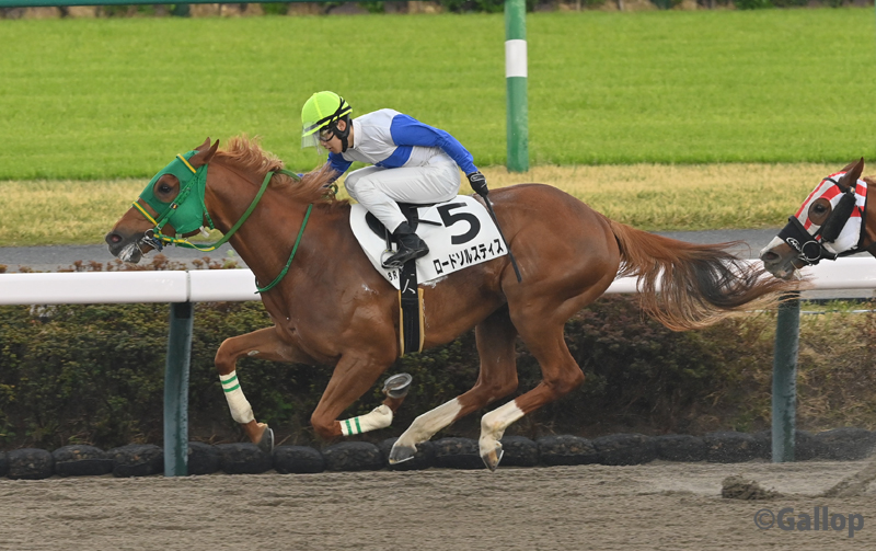 週刊Gallop（Weekly Gallop） tweet media