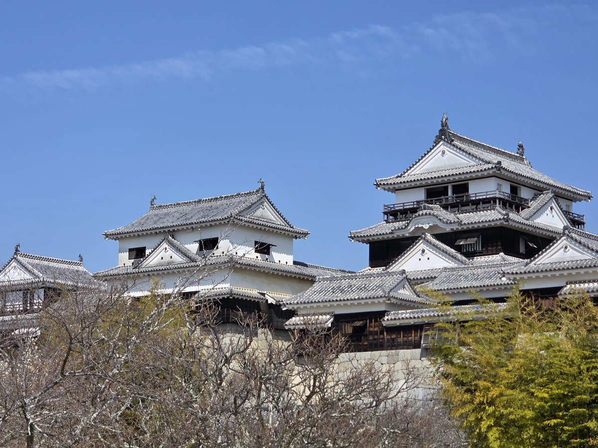 レイぜろ tweet media