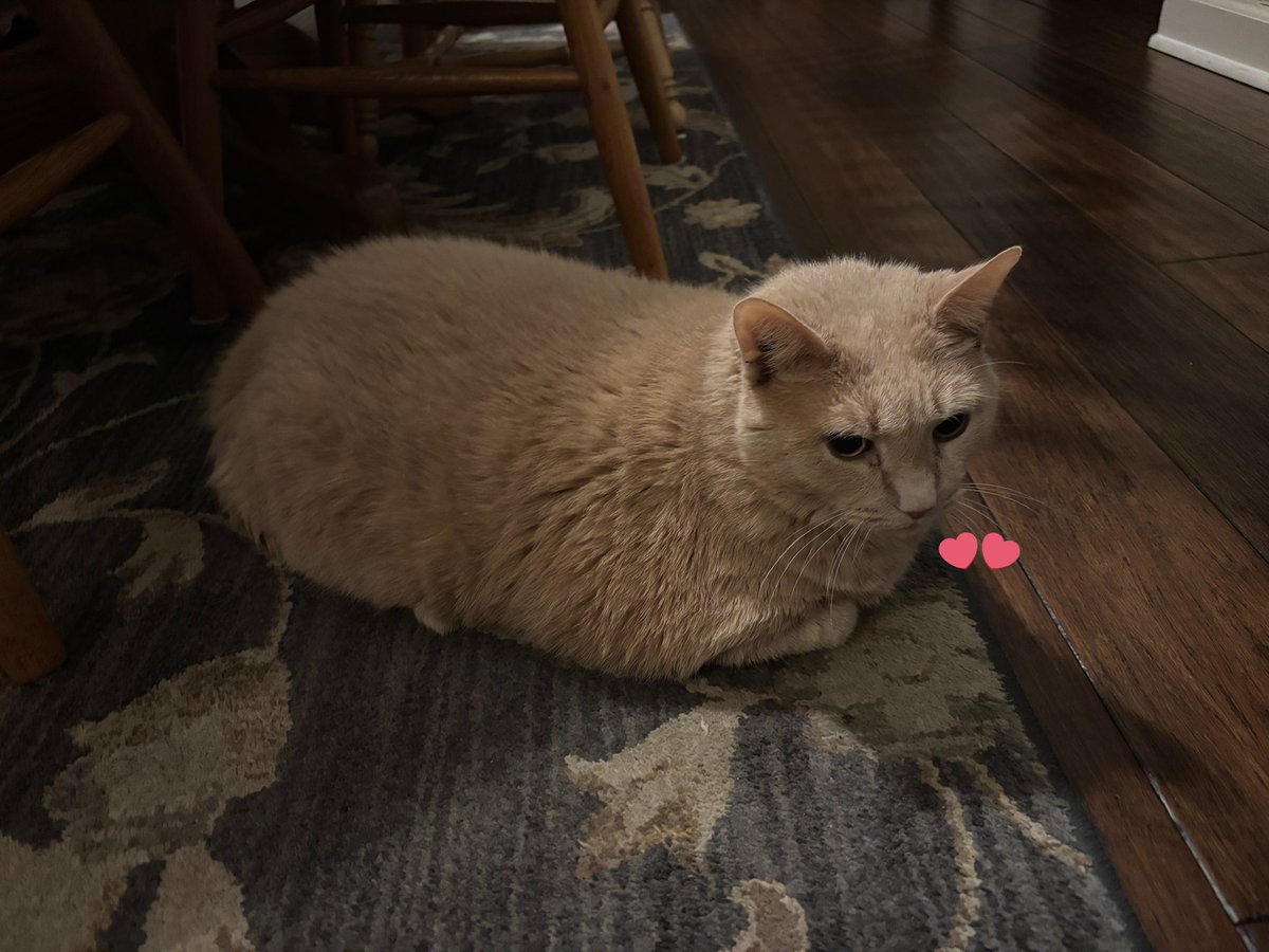 dreaburger tweet media