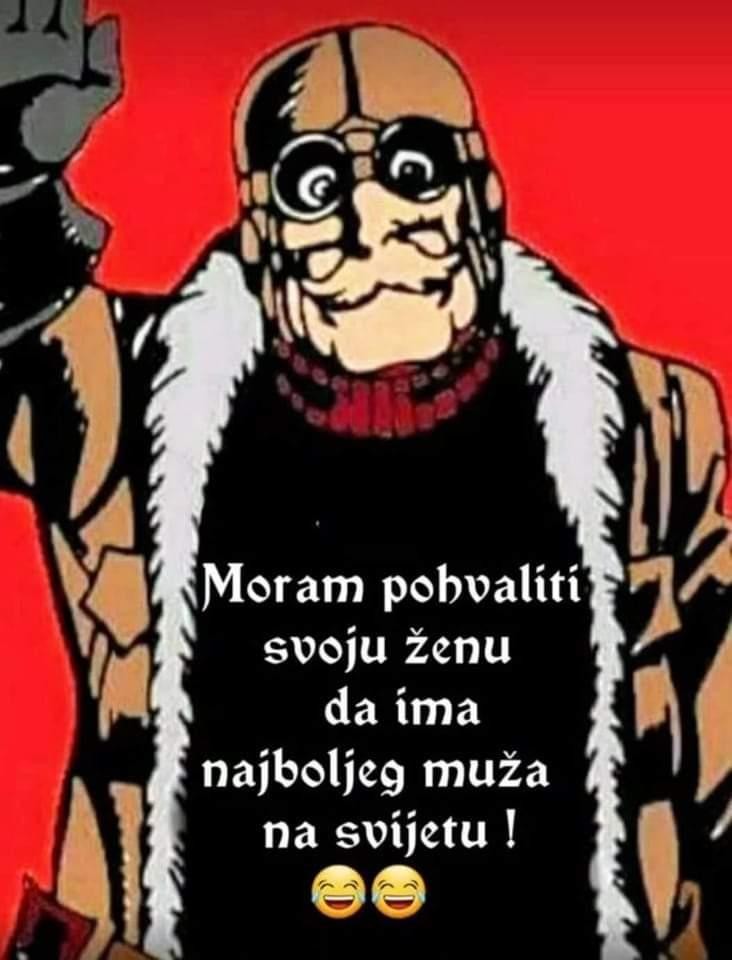 Aleksandar Petrović tweet media