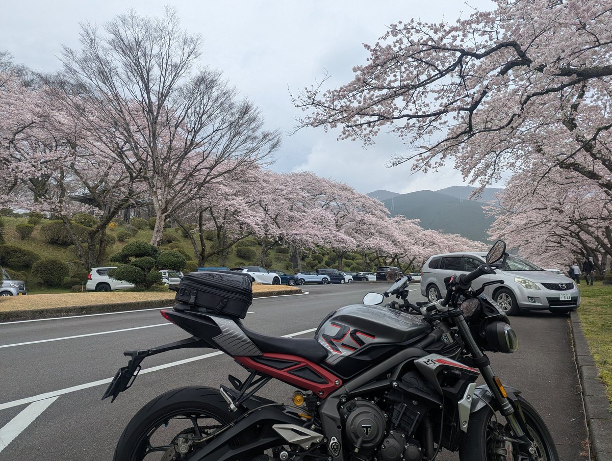 Yaxtusyi's tweet photo. さっと行ってさっと帰れば雨に降られないと思ったけど、帰りにきっちり降られました😭 https://t.co/GldQc0mw4f