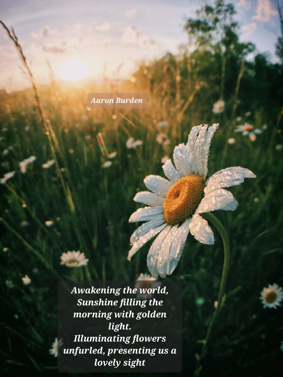 Morgan R.R. Haze tweet media