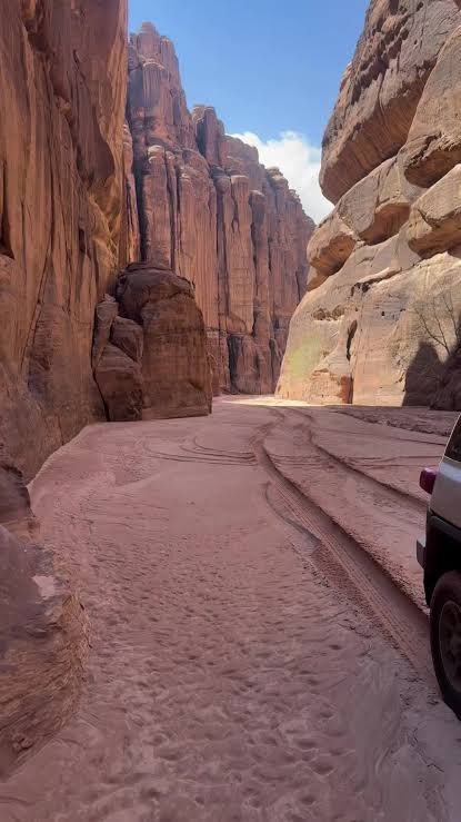 رحّـــال•^ tweet media