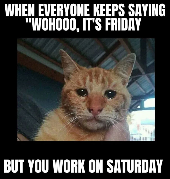 StephenMoreton3's tweet photo. Off to work it is 📮😂
#saturday #easter #work #postalworker https://t.co/4McrbjjN2a