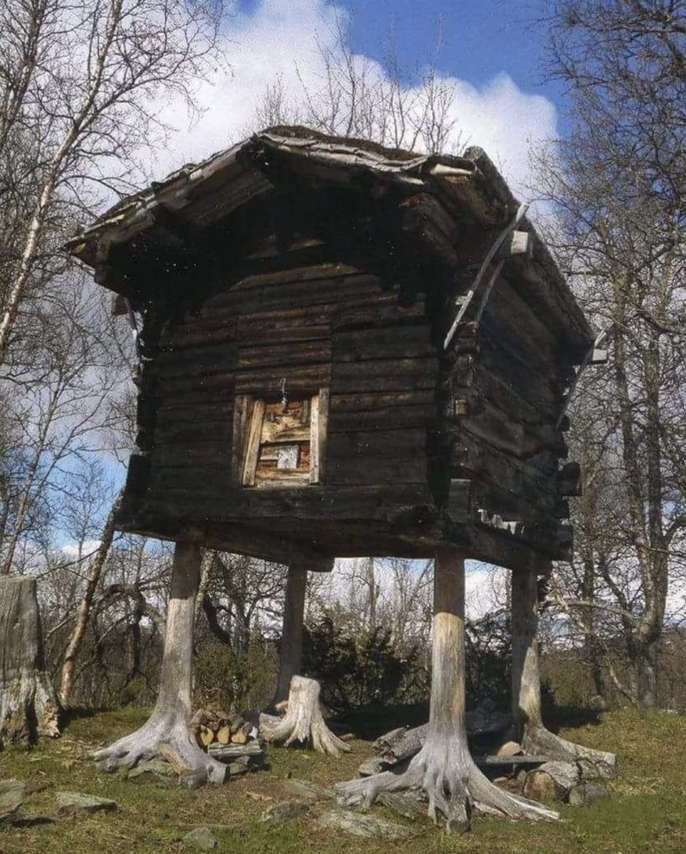 ᨒ↟ 𖠰𖥧˚⏾ tweet media