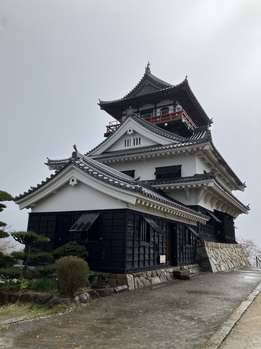 水玉おじ tweet media