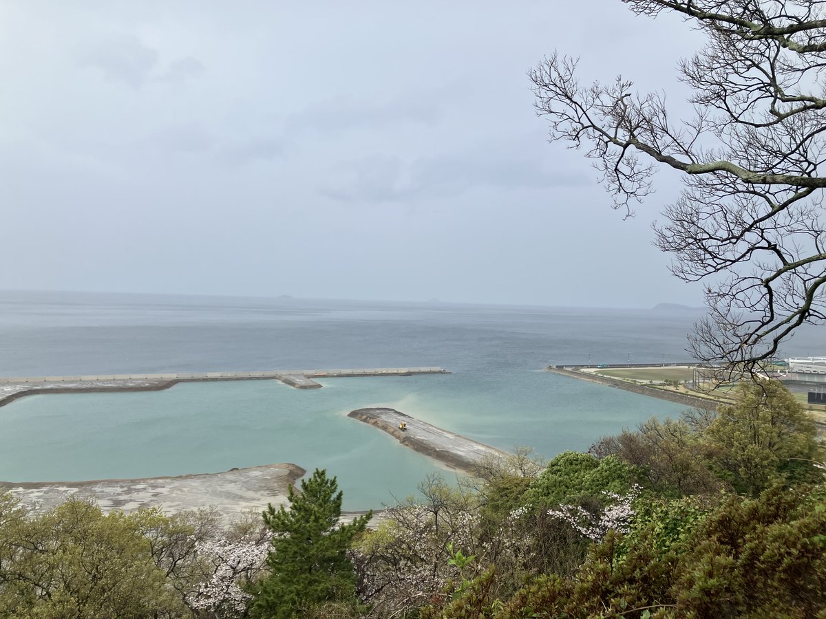 水玉おじ tweet media