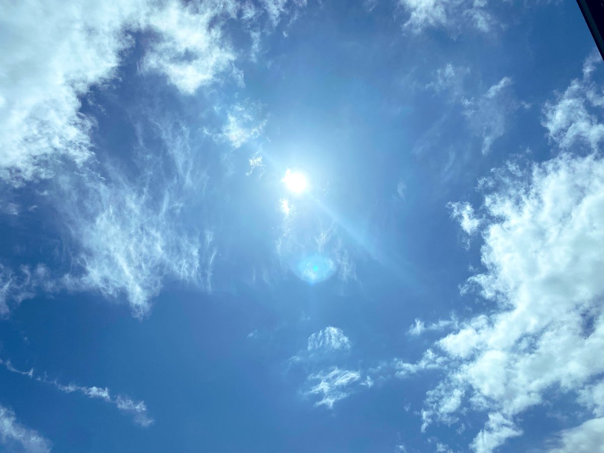 チョコミント tweet media