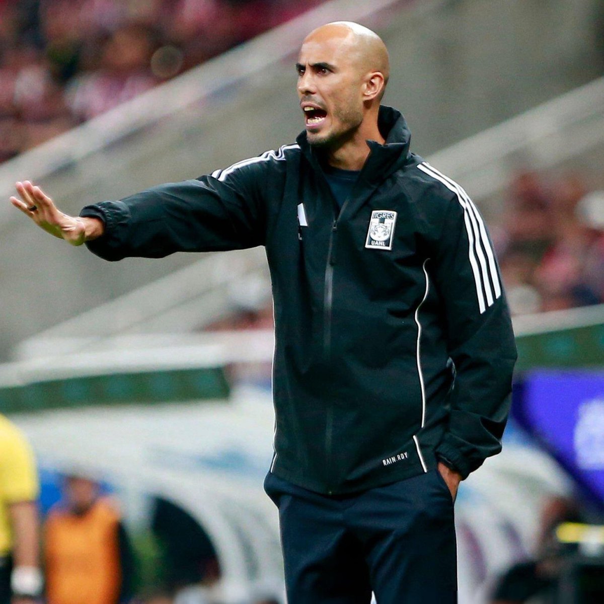 DAC' 🐯 tweet media