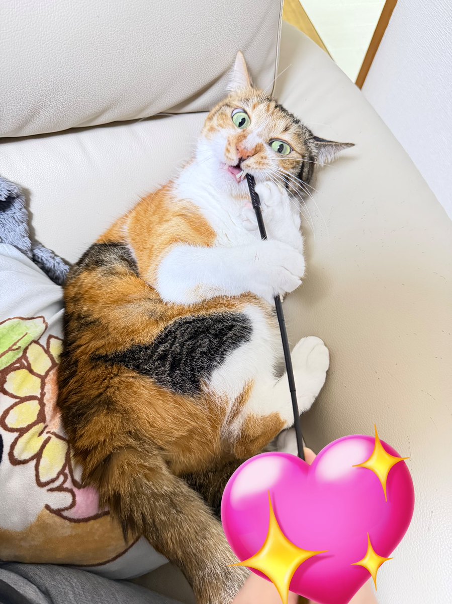 ちゃもみ tweet media