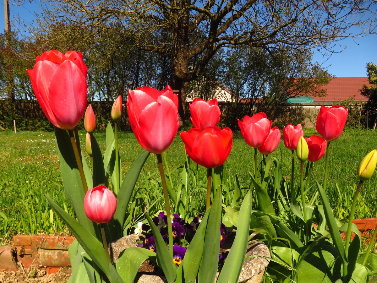 PlanPlan-Bilou tweet media