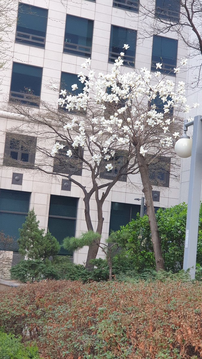 chunchiingroup's tweet photo. https://t.co/0SDkbrBacP