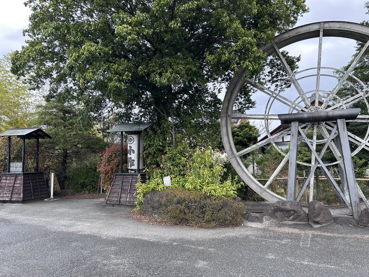 まりまり tweet media