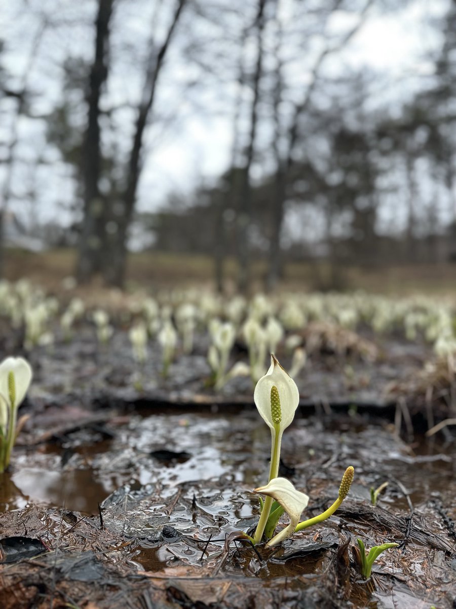 たけちゃん🏠🐈♨️たいらの湯 tweet media