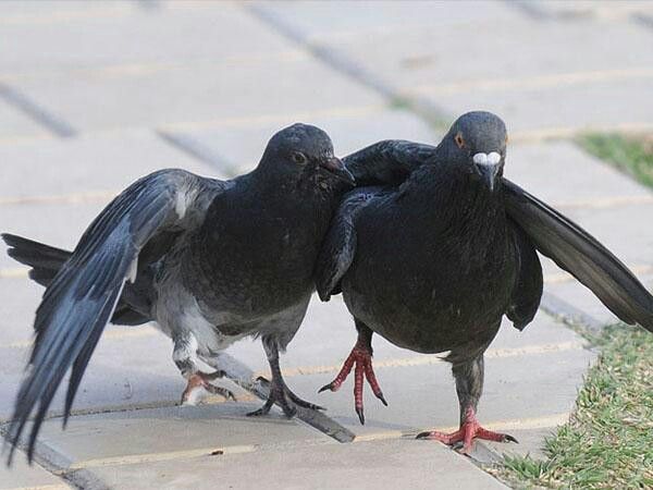 mile💐🦋 tweet media