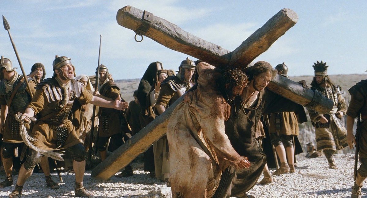 Elizabeth Chalker tweet media