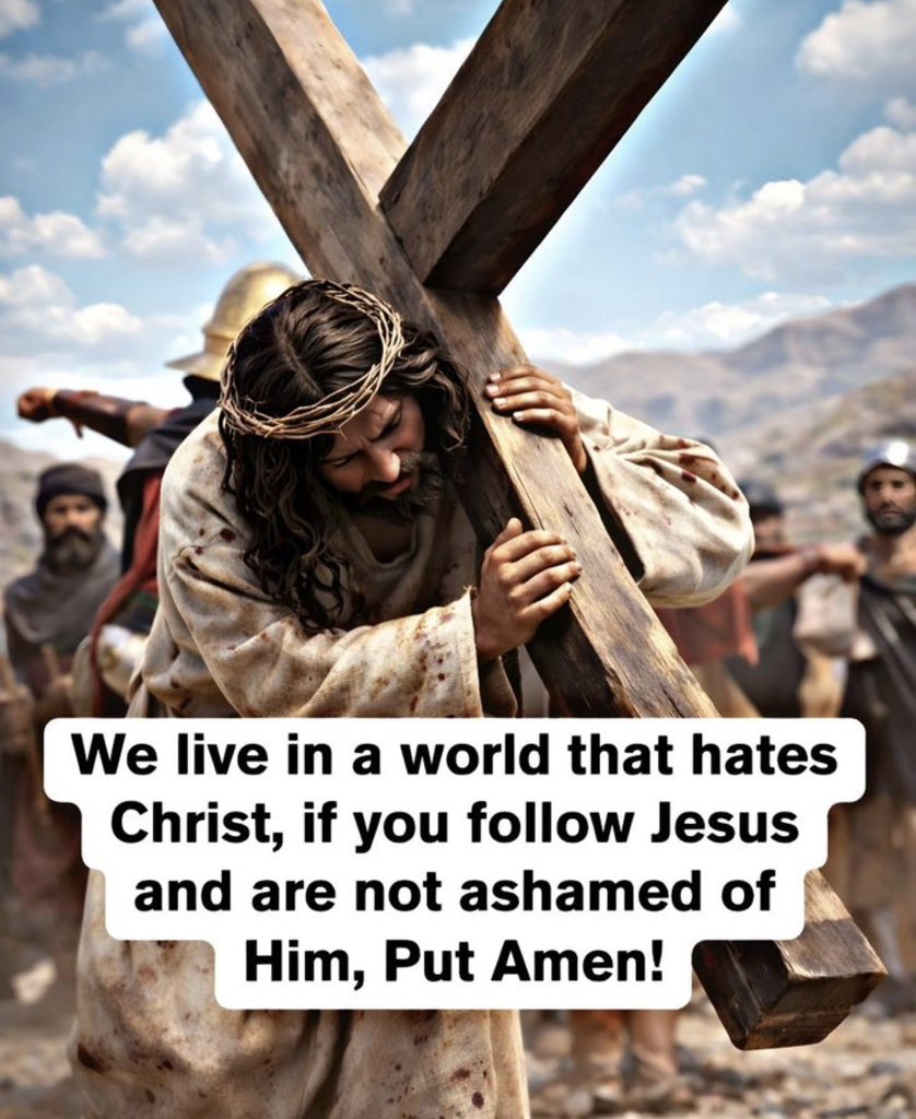 RosarySon tweet media