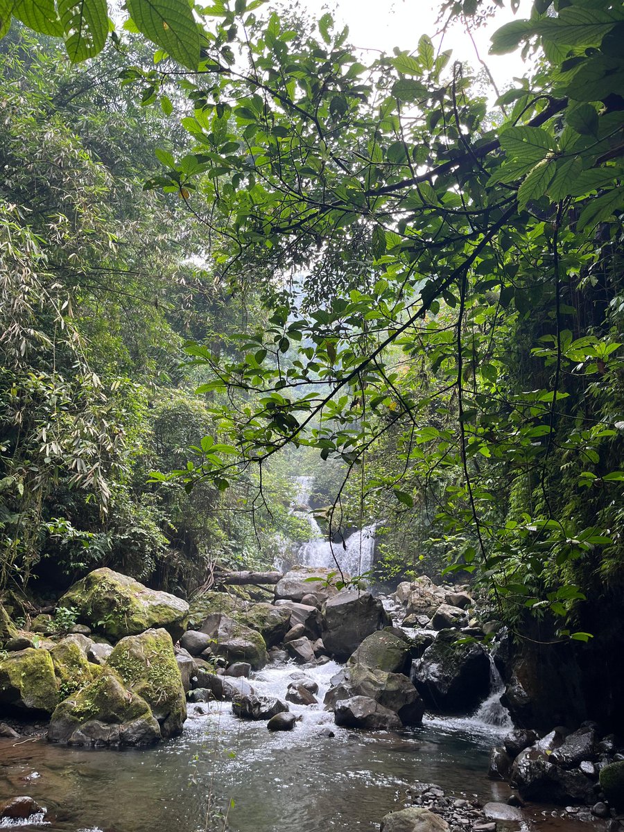 mutanić tweet media