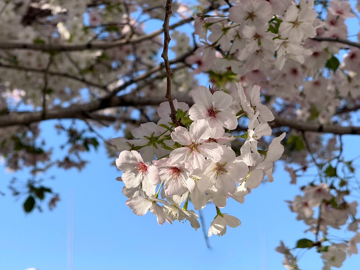 寧(´･ω･`)｜省電模式 tweet media