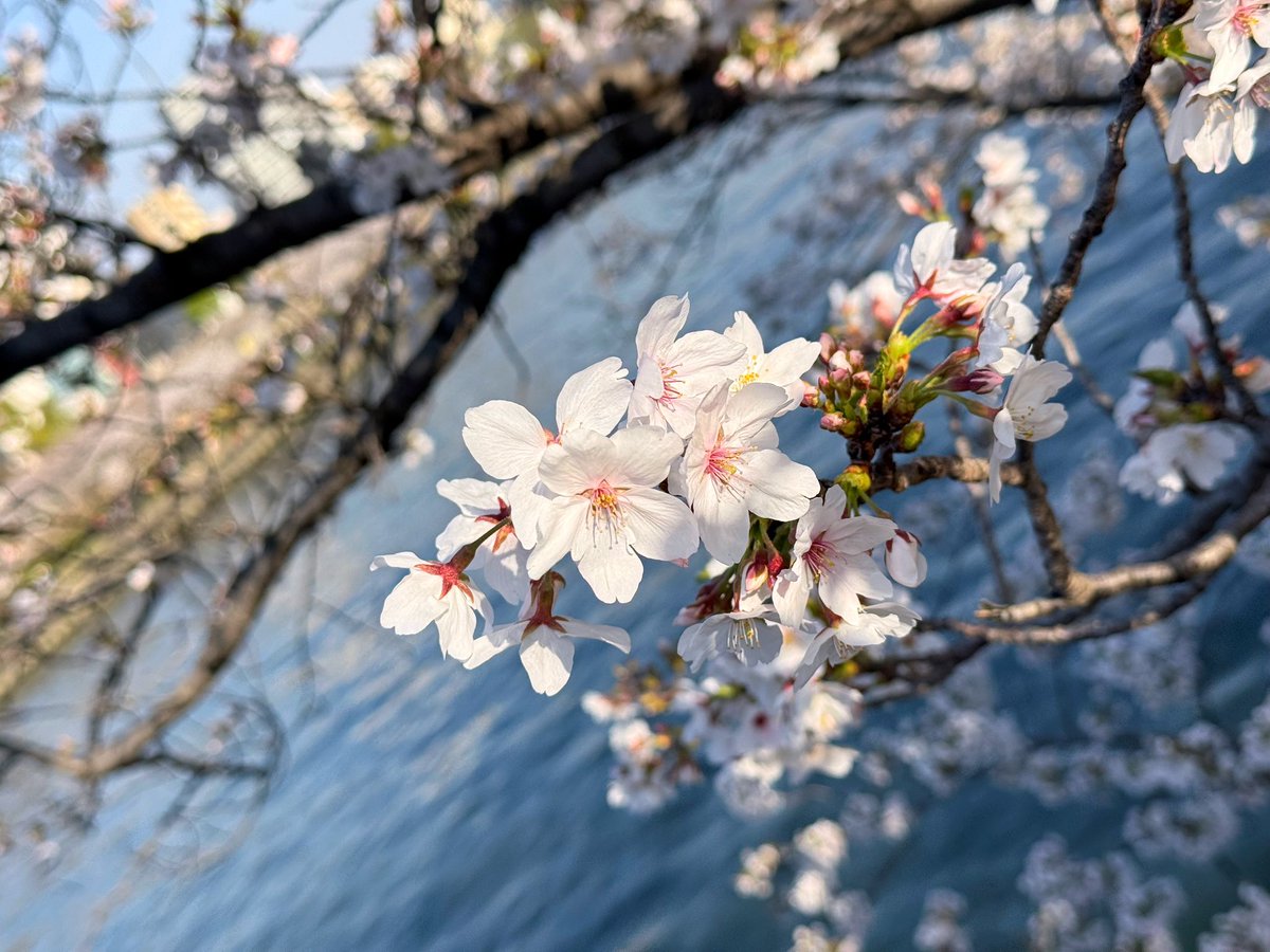 寧(´･ω･`)｜省電模式 tweet media