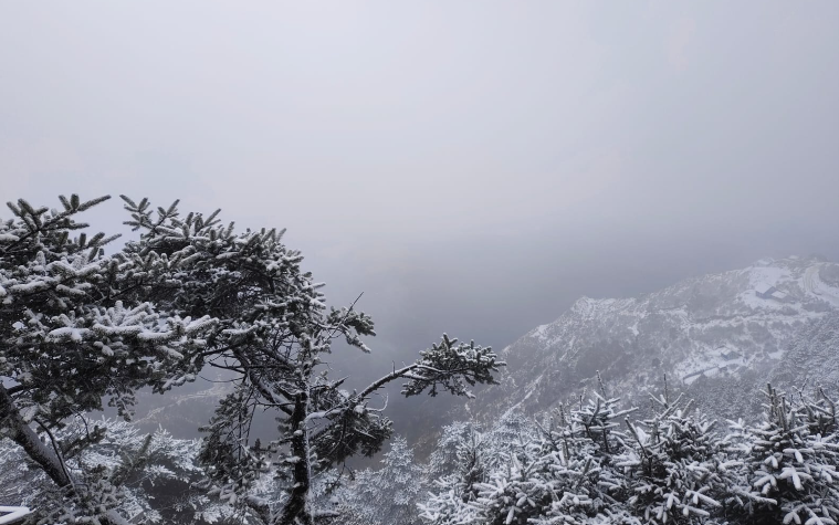 AmitabhJha3's tweet photo. We Walk a path both wild and steep,
A Luvly Trek, yet strangely kind,
It clears the Noise inside my mind
Through mist and chill, through doubt and strain,
I lose my fear, outgrow my pain,
With endless Earth and Open sky,
With my Luvly DarvaXians in Heaven🥰
#DarvaXTrekkers 🏔️🏕️ https://t.co/1KDeDI6rO0