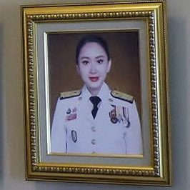 ꗃ meo 🦮🐾 tweet media