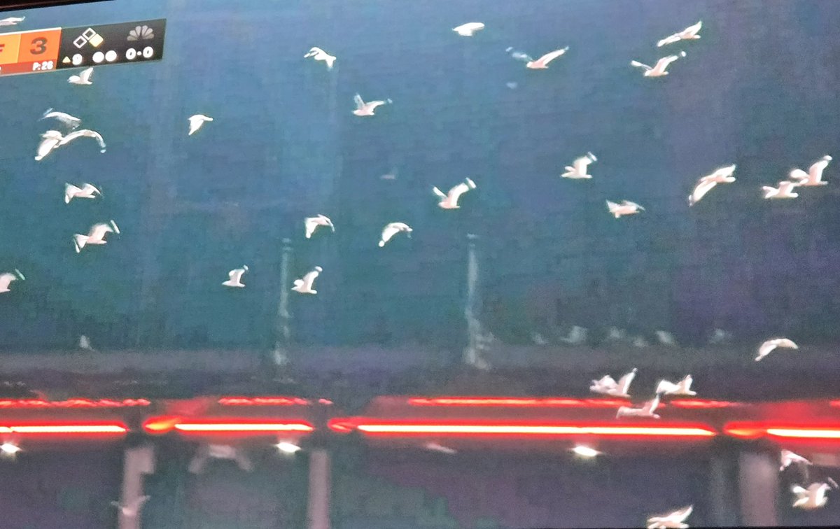 MetsFanClub tweet media