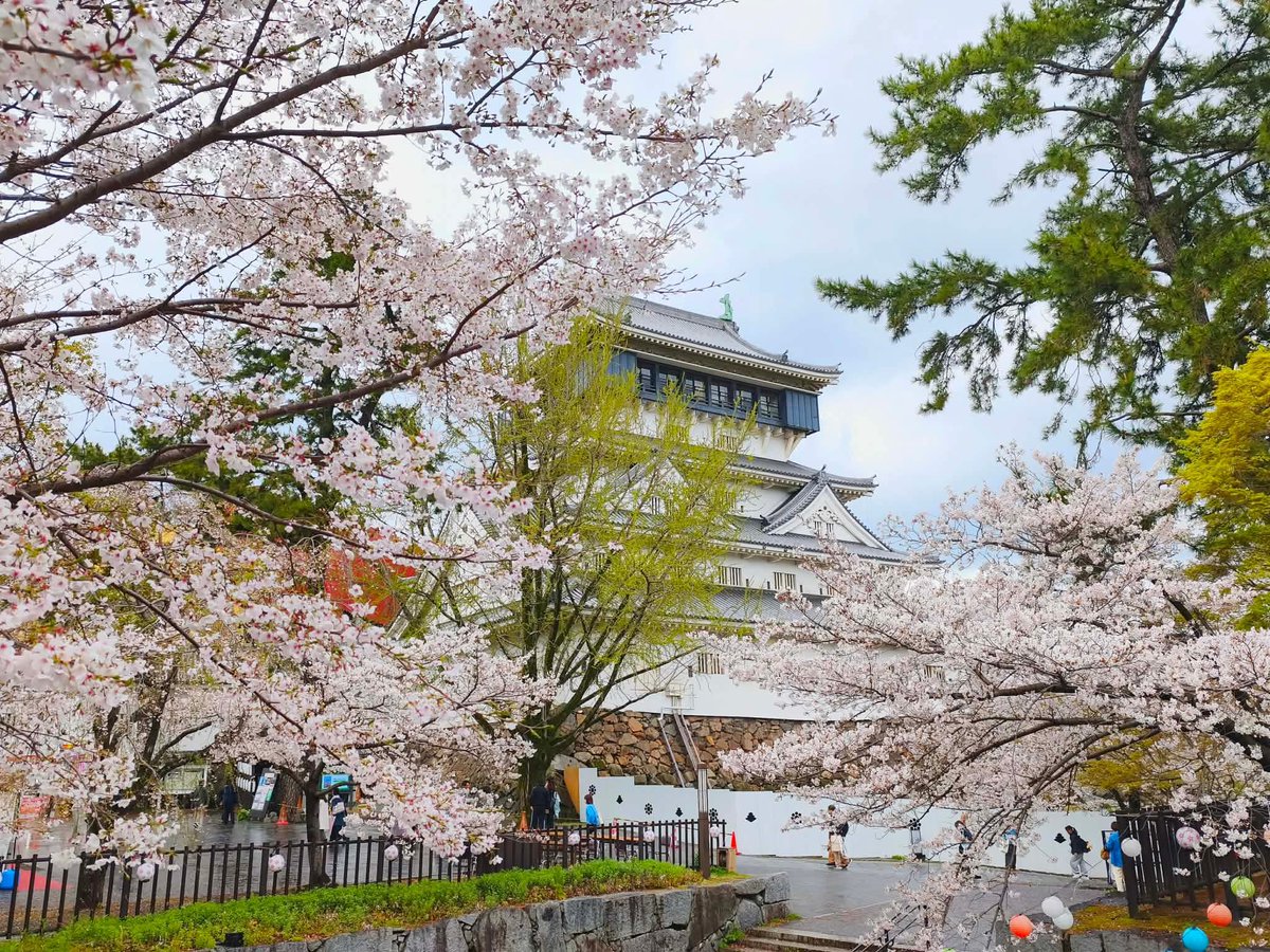 小倉城【公式】Kokura Castle🏯 tweet media