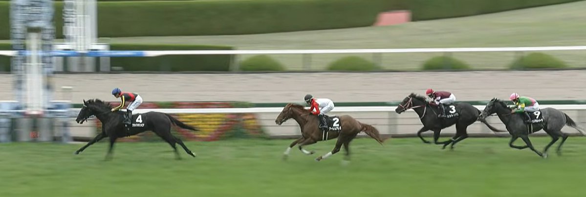 Graham Pavey tweet media