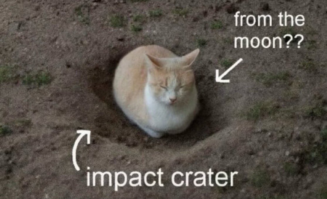 ApolloPocolocoNew tweet media