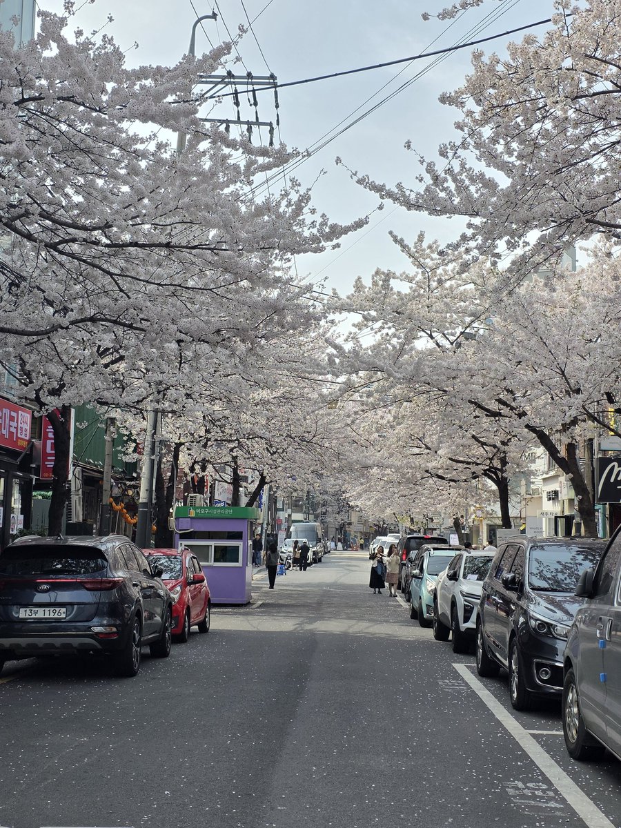 aly ⁷ ⊙⊝⊜ tweet media