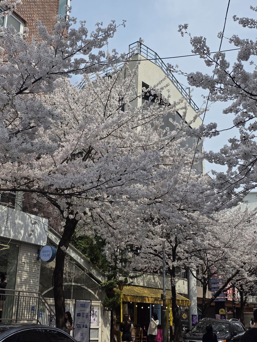 aly ⁷ ⊙⊝⊜ tweet media