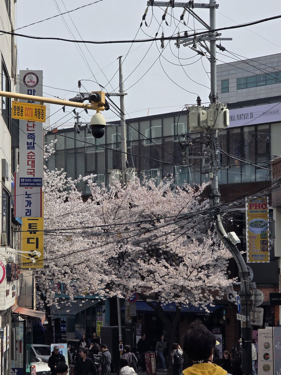 aly ⁷ ⊙⊝⊜ tweet media