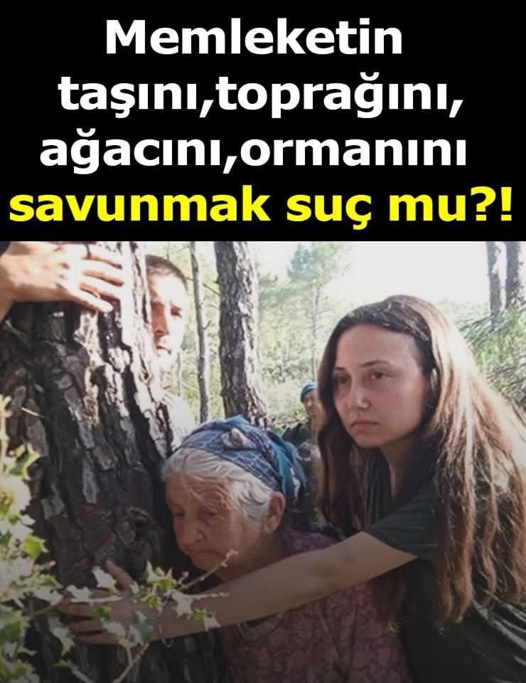 Albayim⭐️⭐️⭐️ tweet media