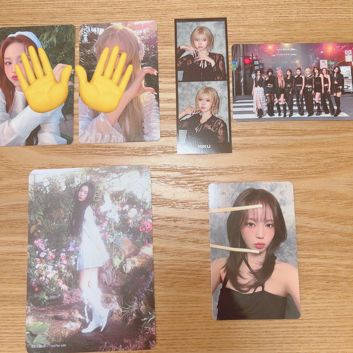 ぴーぬん🦙🦎(別名あかちゃん♡まゆち命名) tweet media