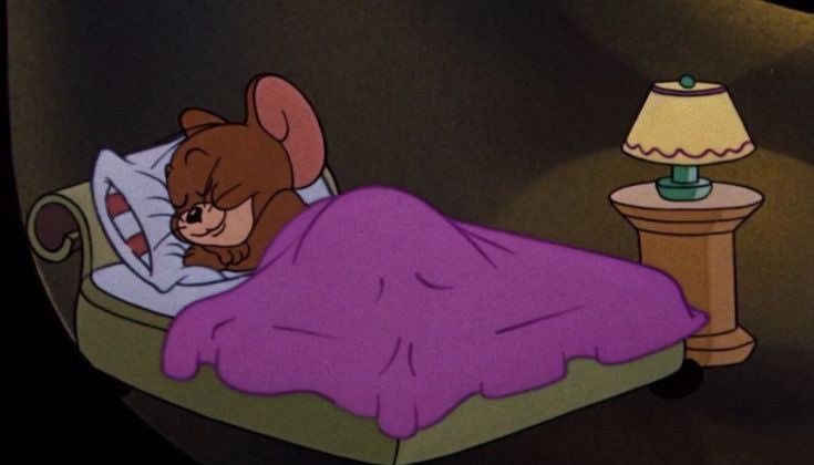 Dector Nora 🍫💸 tweet media