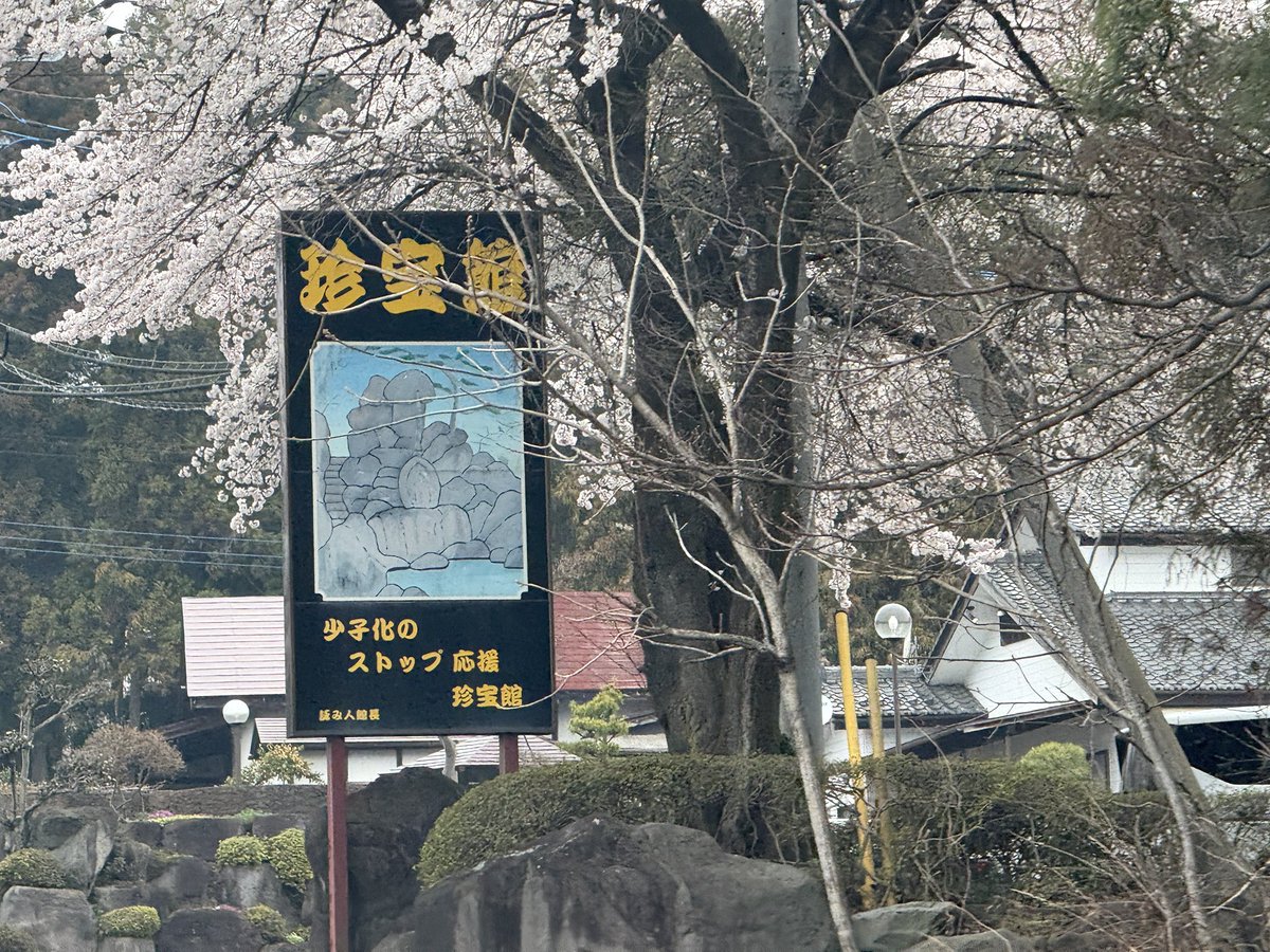 PJラボ@放電屋( ੭ ・ᴗ・ )੭⚡️ tweet media