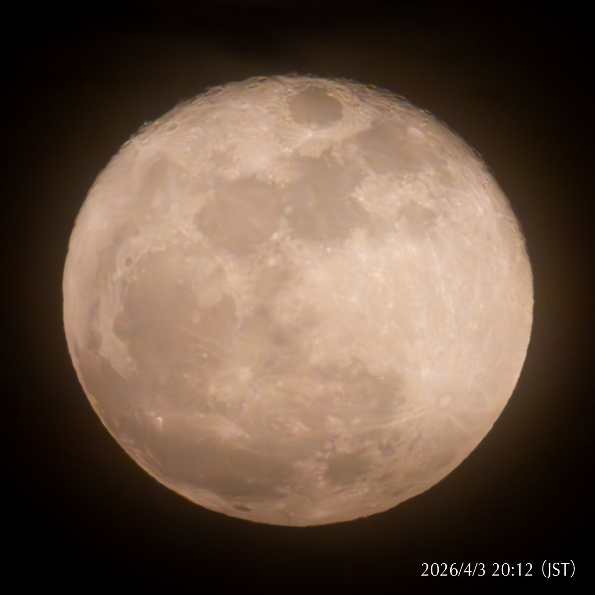 ⚙🐑ひつじ tweet media