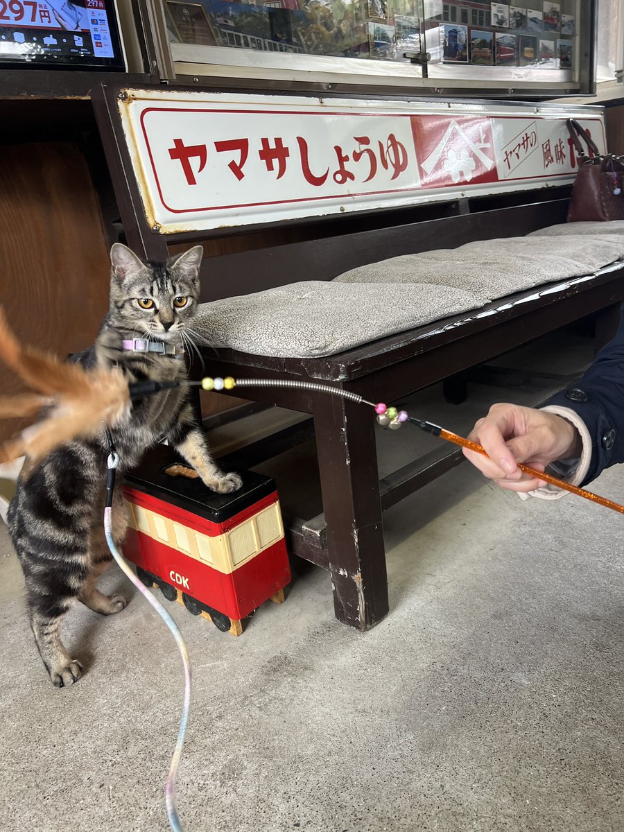 なかのさん（仮） tweet media